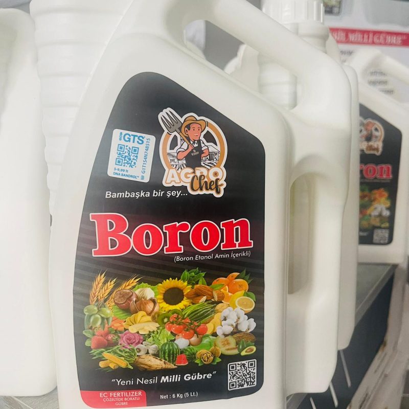 z4756256213243_c03d8ff567bfa25791fb7083d0562582 (1)